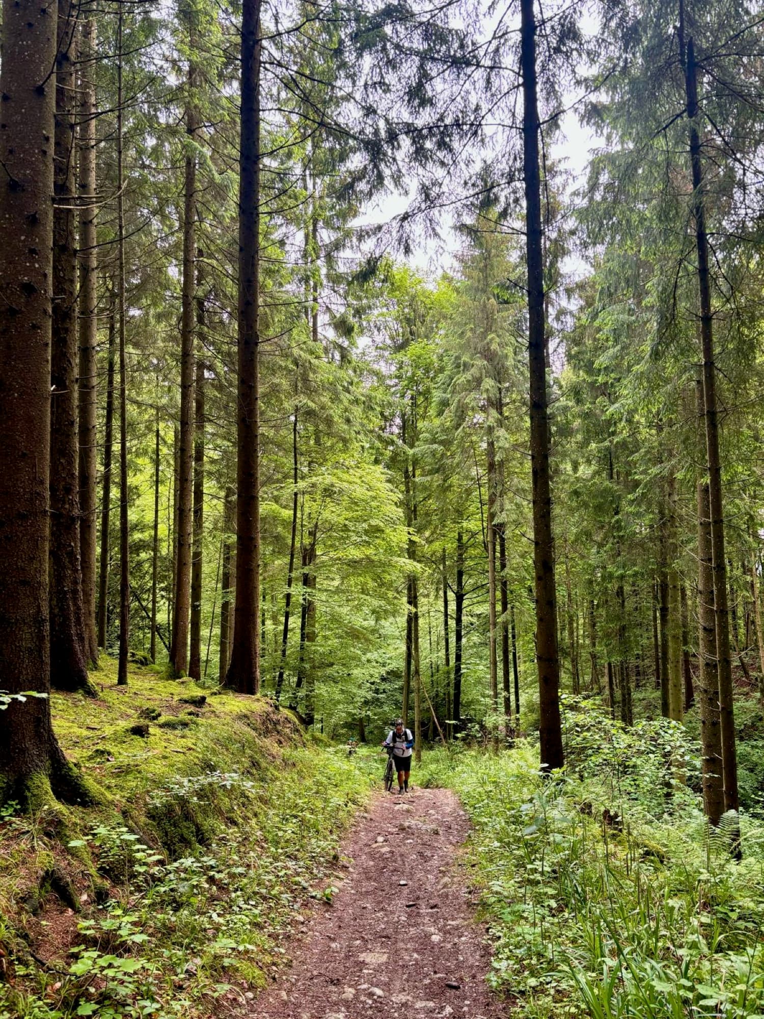Start am ersten Tag des ZüriEscape