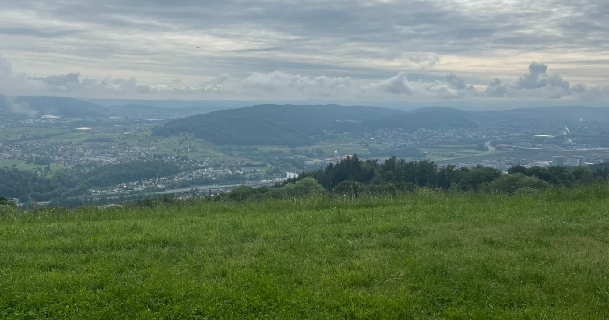 Waldwege am Uetliberg