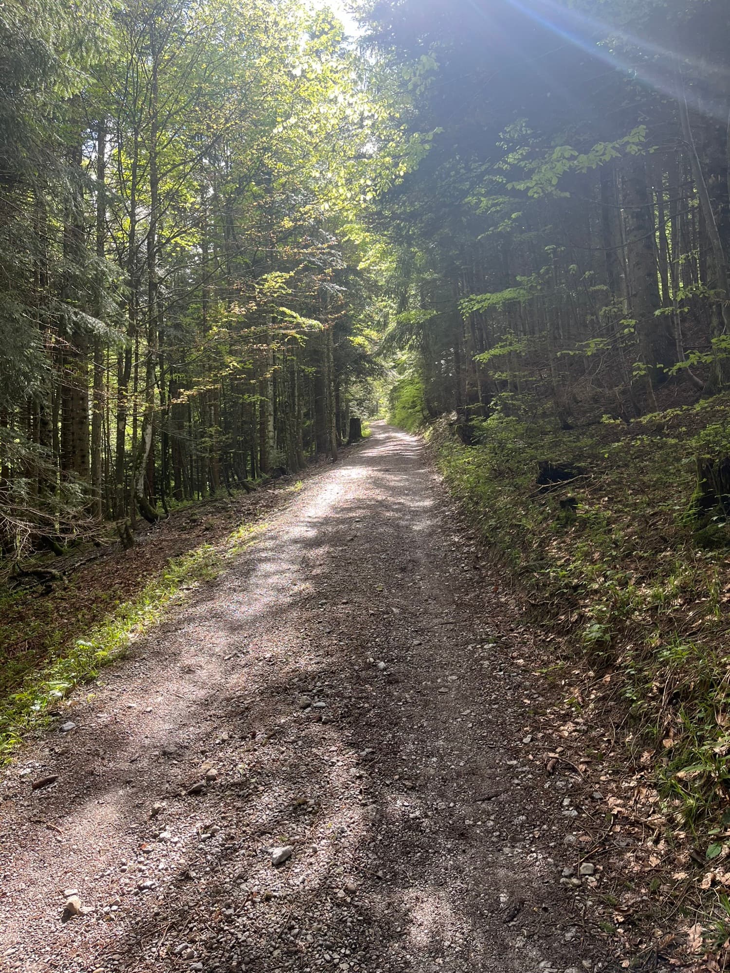 Der Aufstieg am Ende des Tösstals