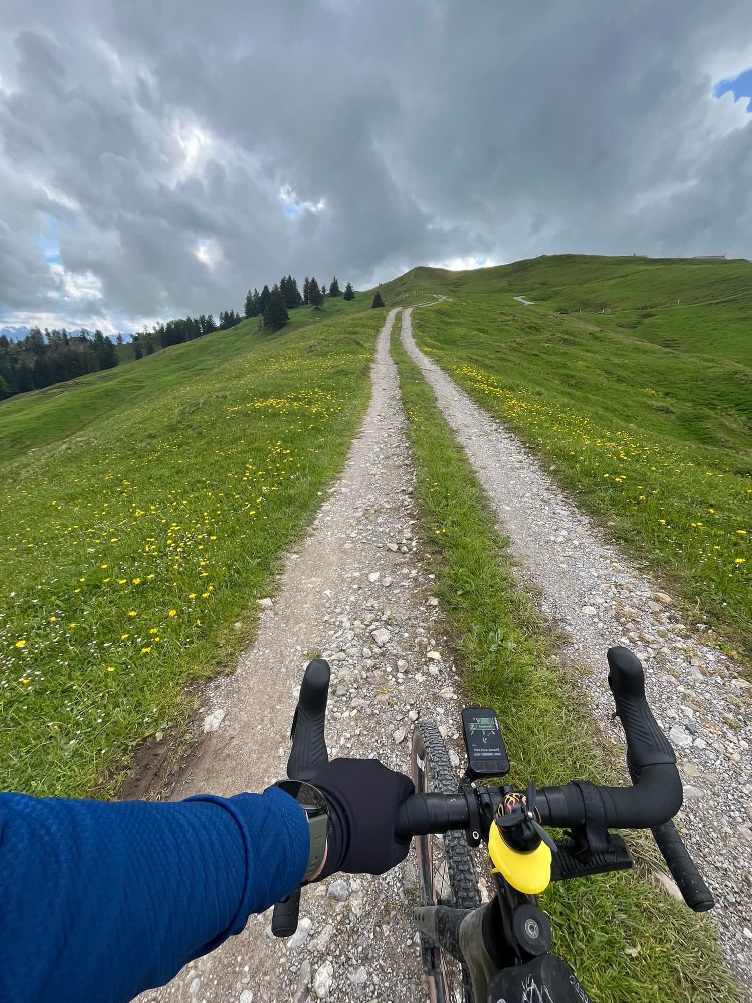 Das Licht am Ende des Waldes auf dem Weg zum Tanzboden