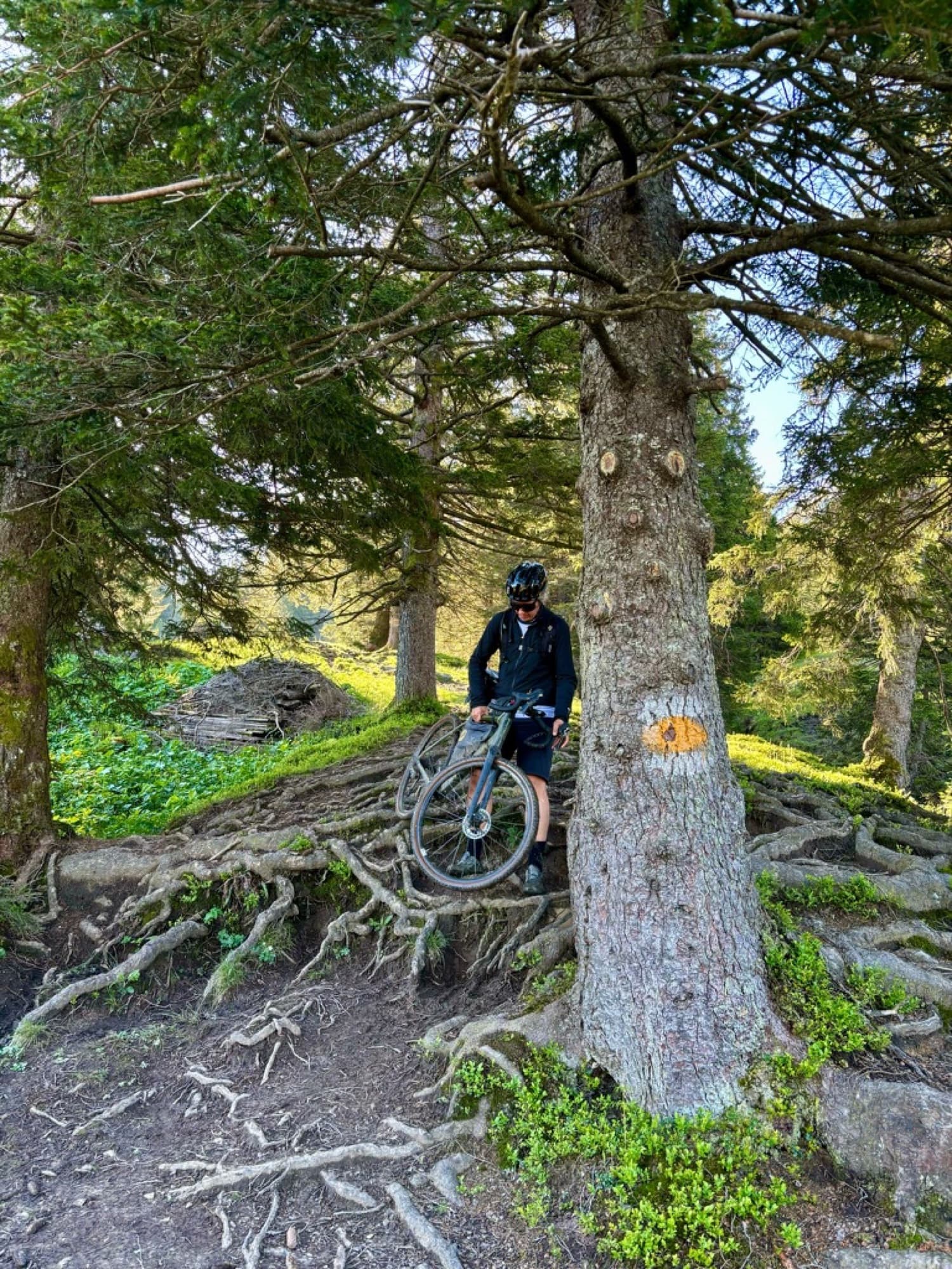 Bike-Packing über die matschige Wiese — Bild 2