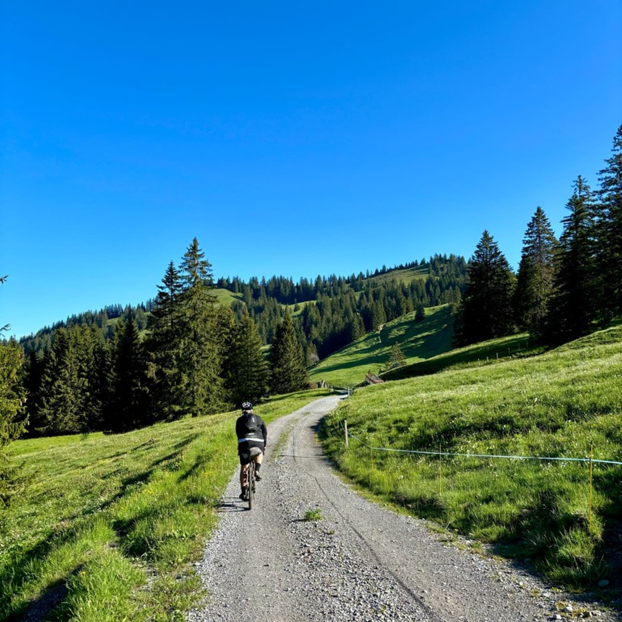 Bike-Packing über die matschige Wiese — Bild 3