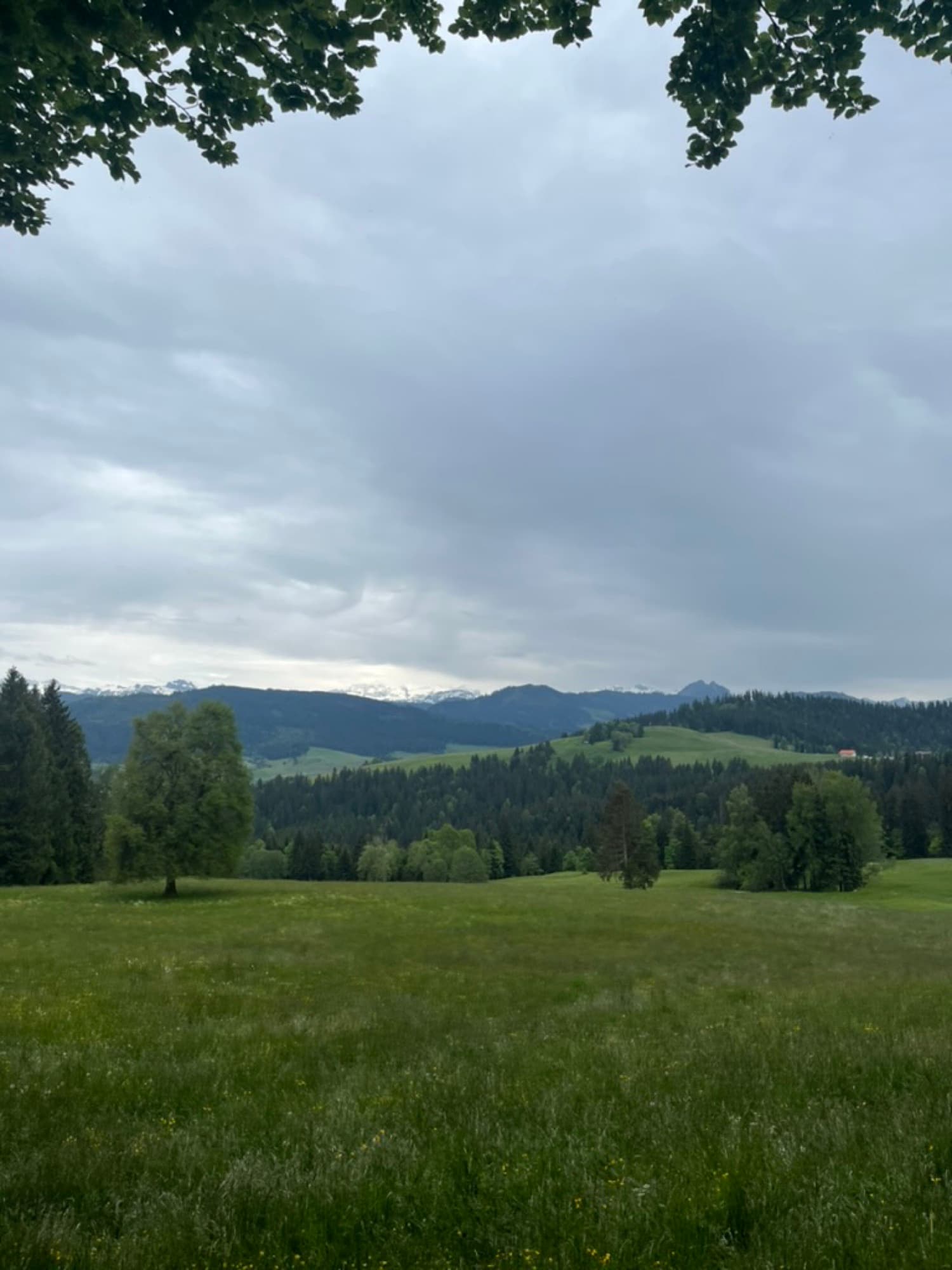 Ankunft in Zürich bei Nacht — Bild 1