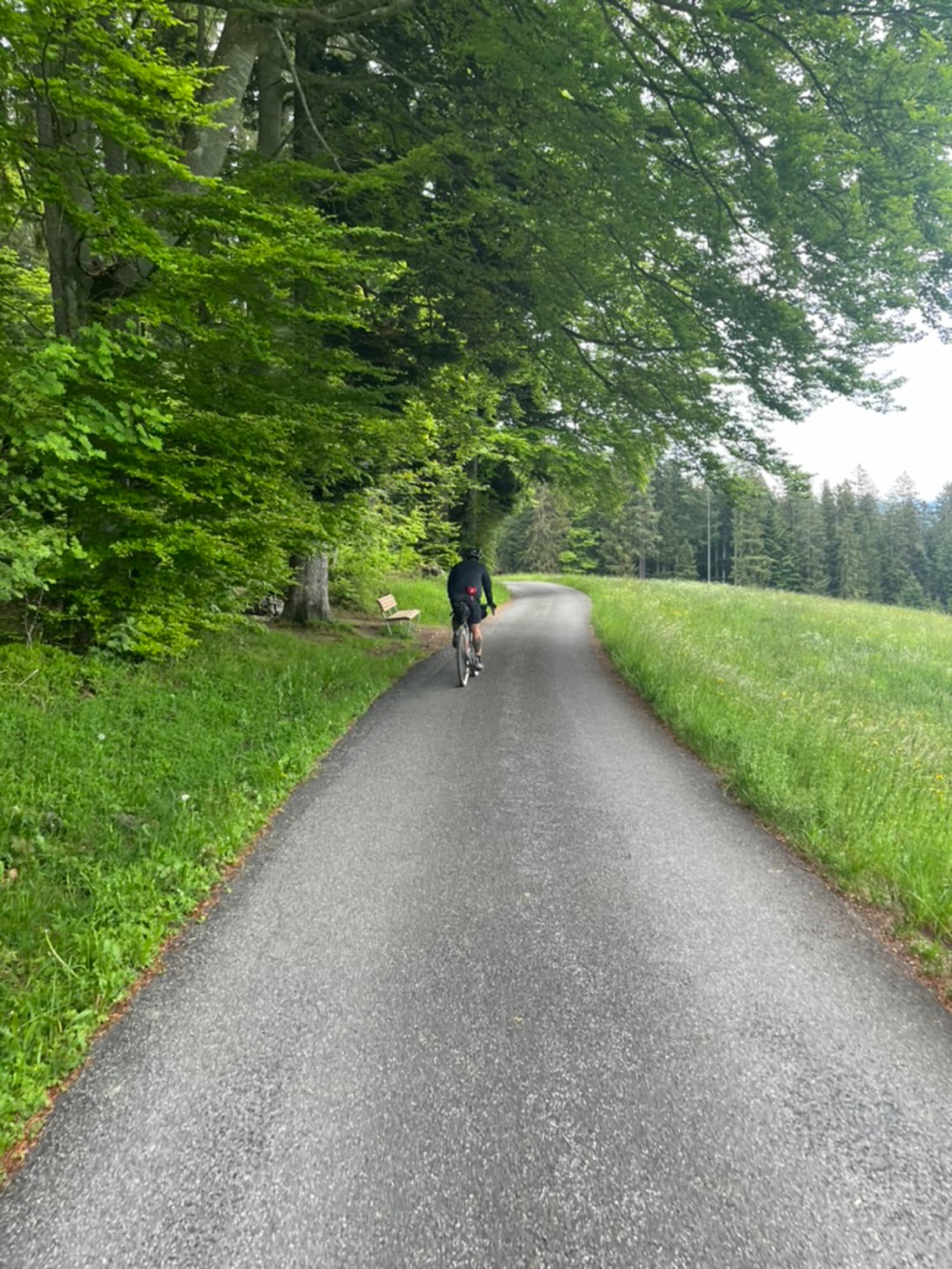 Ankunft in Zürich bei Nacht — Bild 2