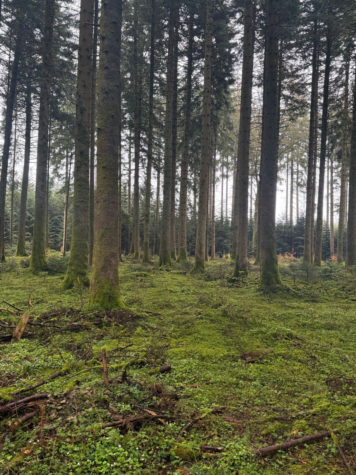 Etappe 2: Blumberg nach Karlsruhe — Bild 2