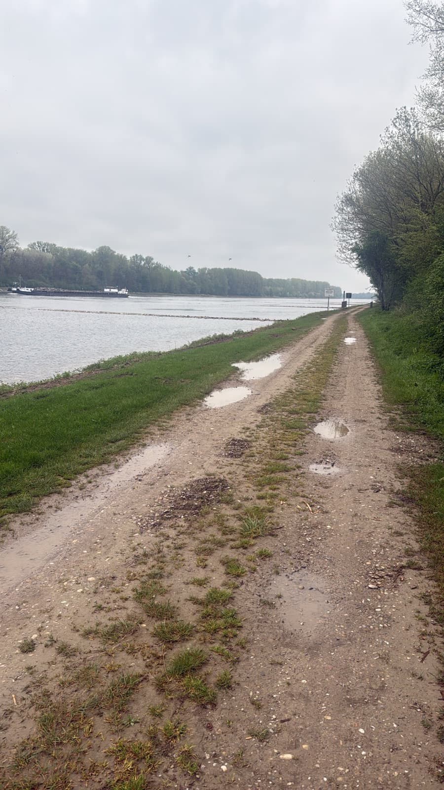 Etappe 3: Karlsruhe nach Bingen am Rhein — Bild 1