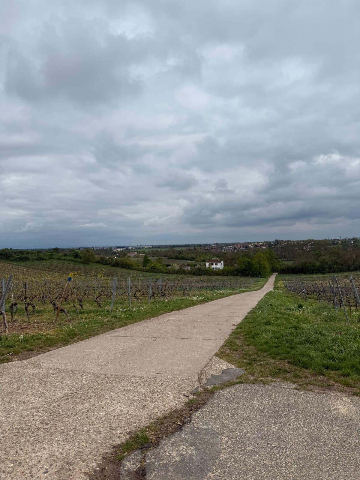 Etappe 3: Karlsruhe nach Bingen am Rhein — Bild 4