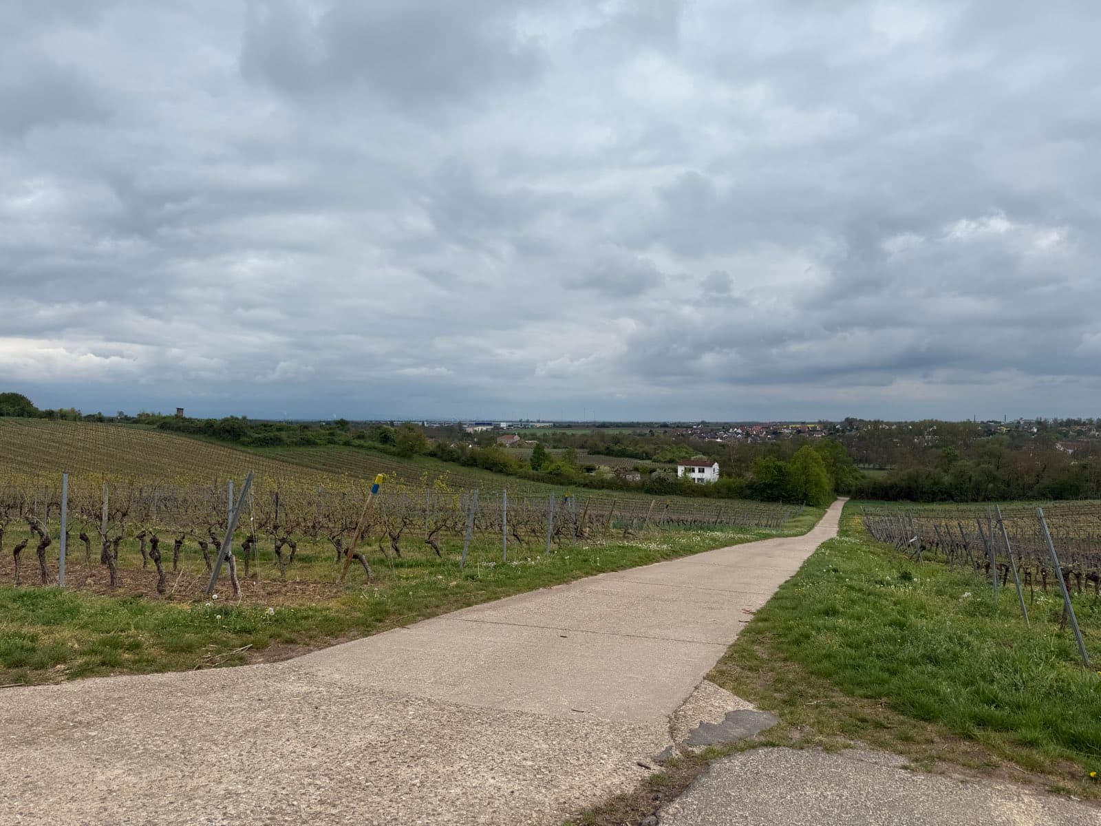 Etappe 3: Karlsruhe nach Bingen am Rhein — Bild 5