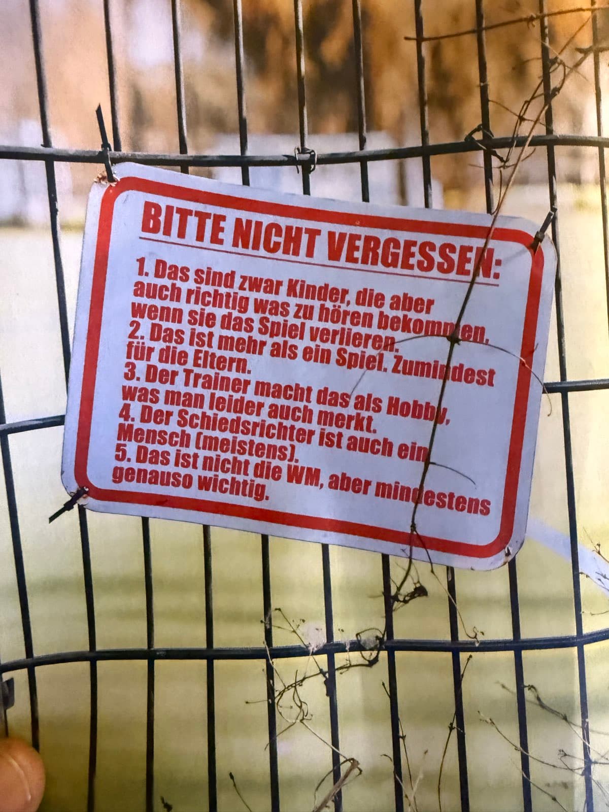 Rückreise mit dem Zug — Bild 4