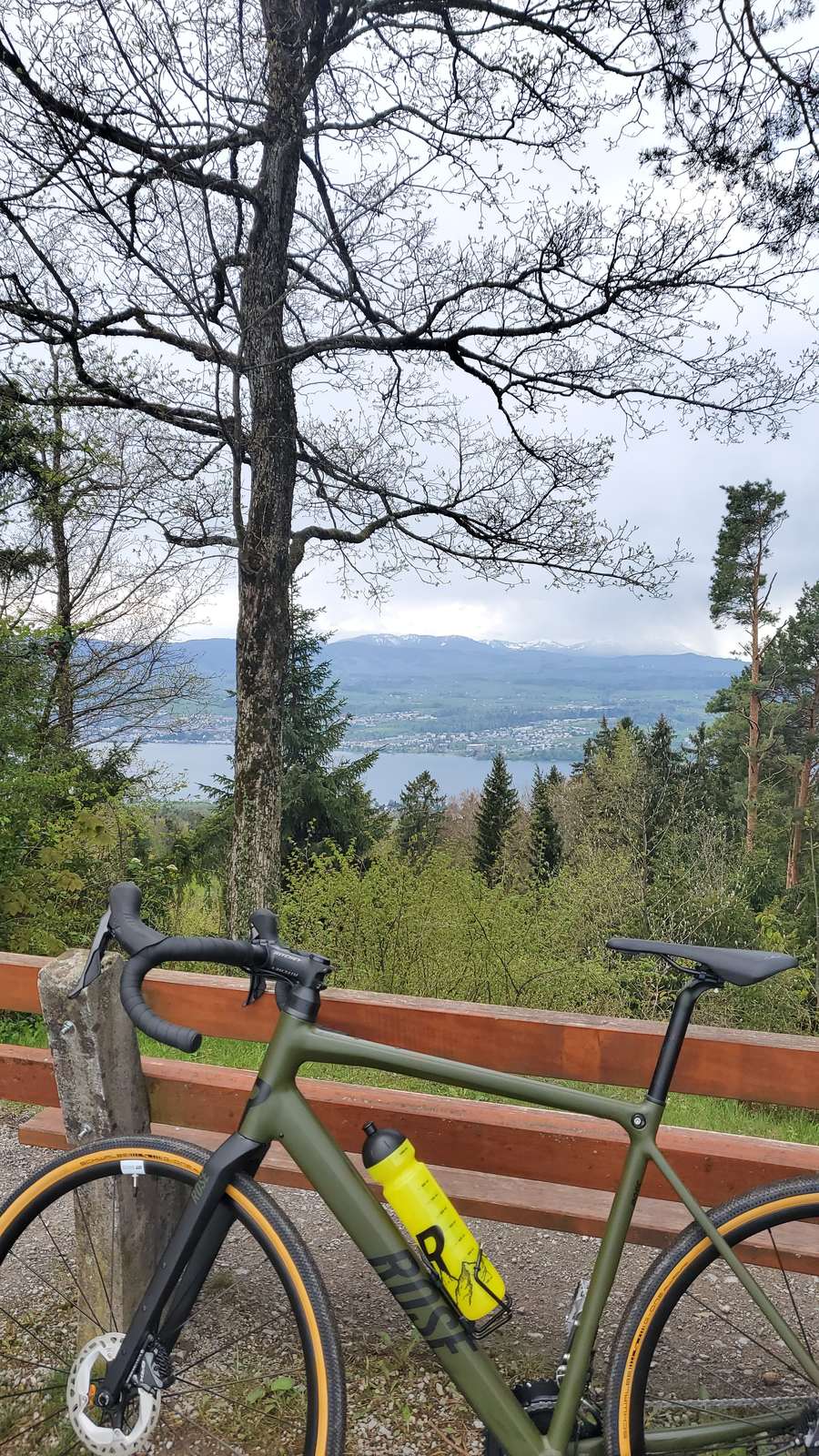 Hasenbart21 — Bild 7