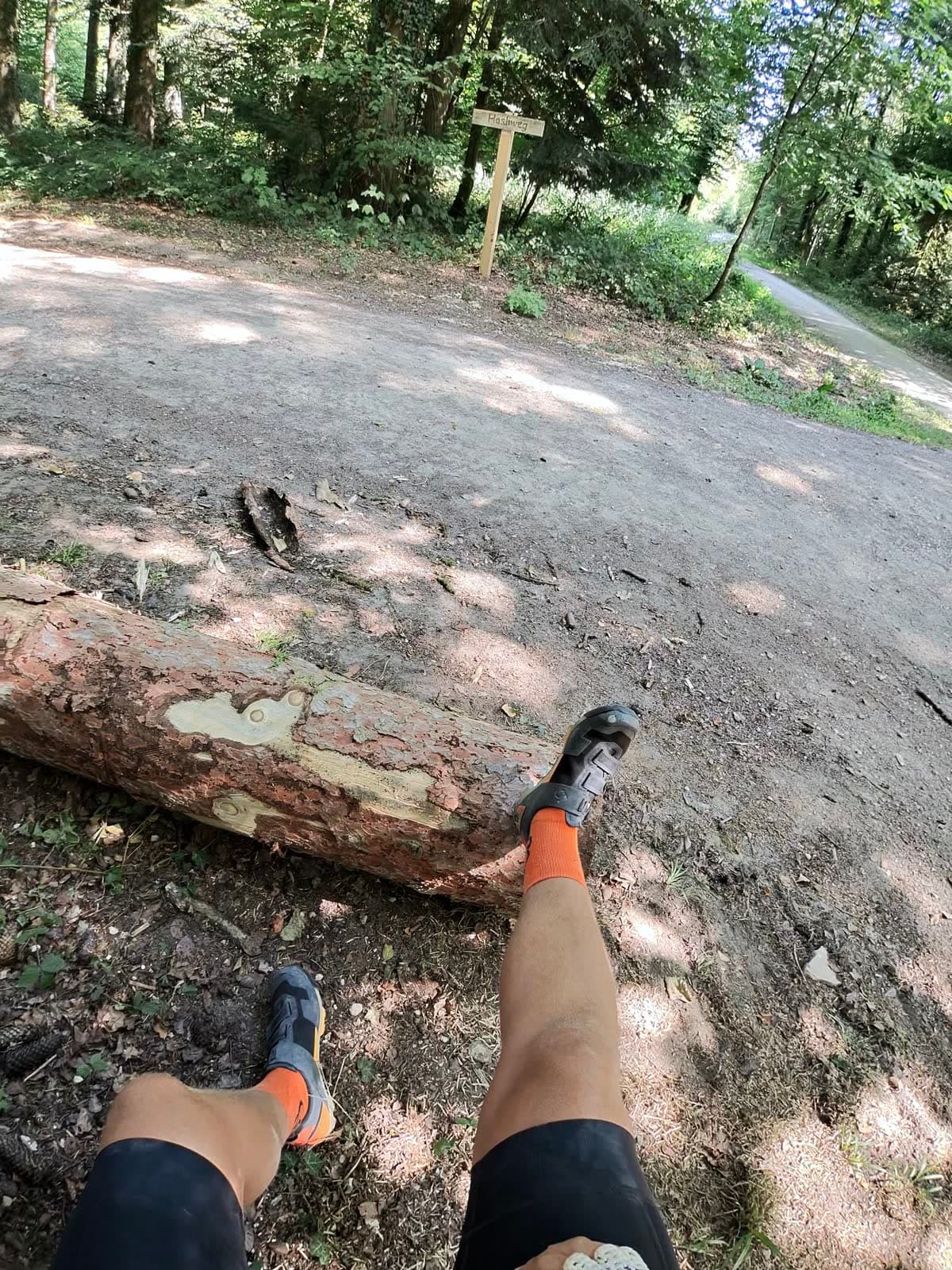 Pause auf einem Baumstamm an einer Waldkreuzung